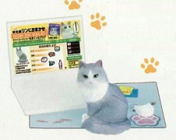 画像1: ［うちの自慢のにゃんこ］　５．鈴木さんちのブログ猫