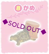 ［ぎゅうぎゅうペット］　８．かめ