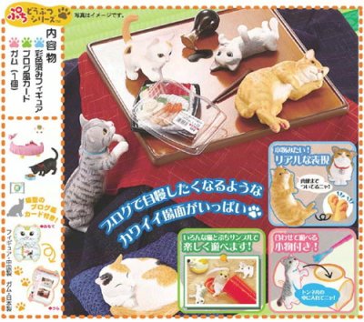 画像2: ［うちの自慢のにゃんこ］　６．野村さんちのキッチン猫