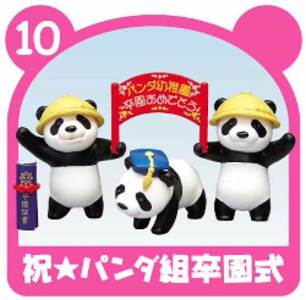 画像1: [おいでよ！パンダ組］　１０．祝★パンダ組卒園式 (1)