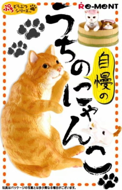 画像3: ［うちの自慢のにゃんこ］　５．鈴木さんちのブログ猫