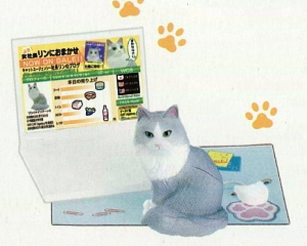 画像1: ［うちの自慢のにゃんこ］　５．鈴木さんちのブログ猫 (1)